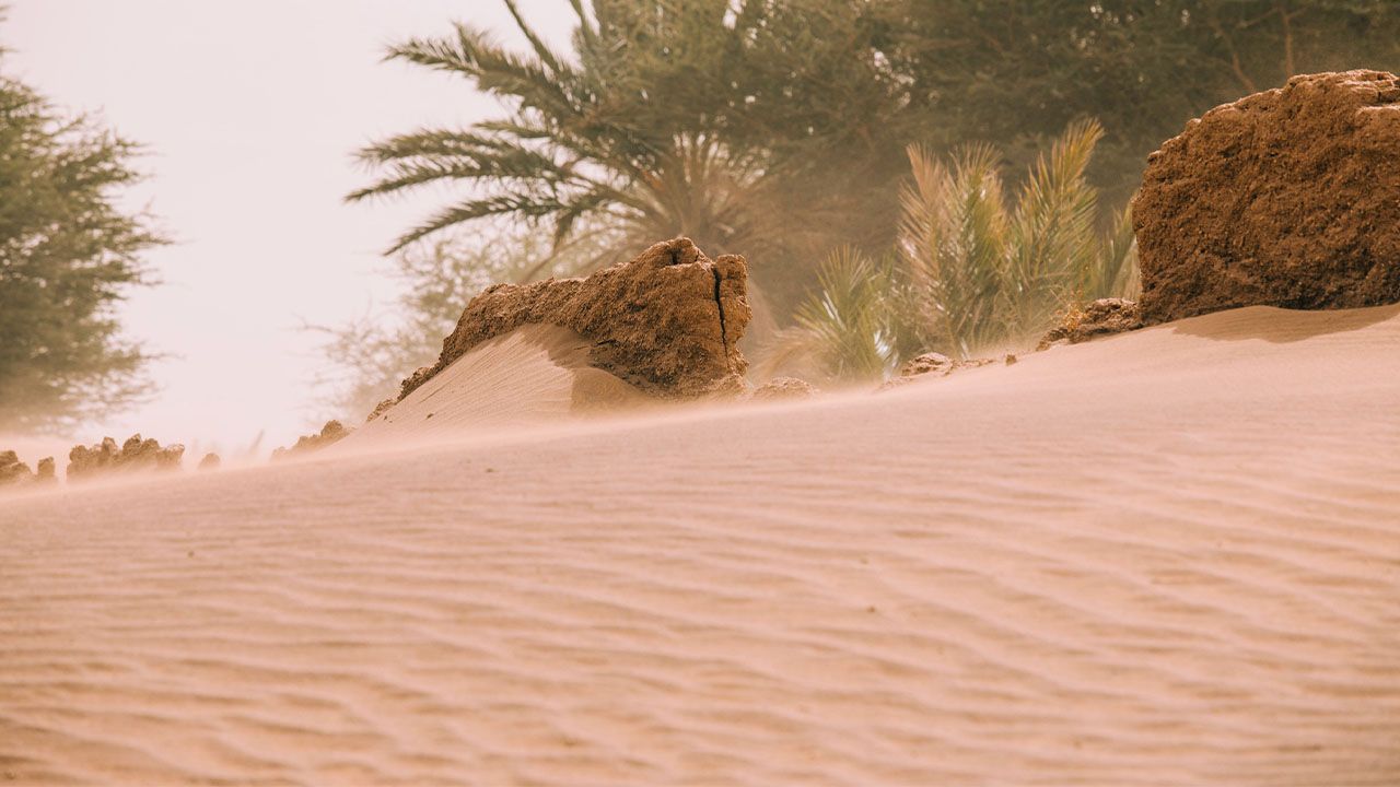 Iniciamos un nuevo proyecto contrala desertización en Marruecos.